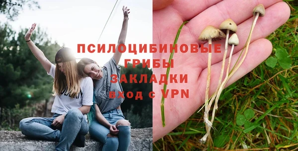 ГАЛЛЮЦИНОГЕННЫЕ ГРИБЫ Горно-Алтайск