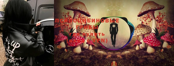 jwh Горняк