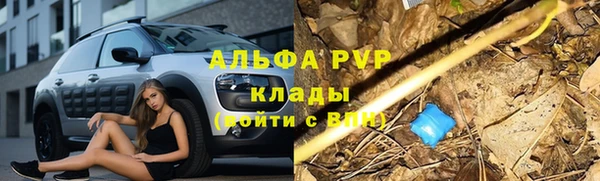 ГАЛЛЮЦИНОГЕННЫЕ ГРИБЫ Горно-Алтайск