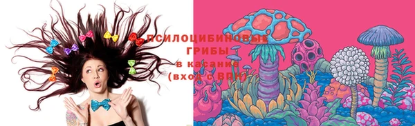 jwh Горняк